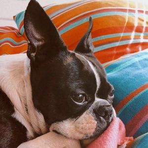 Meet your Posher, Casey